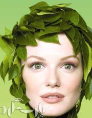 جلوگیری از ریزش مو با گیاهان دارویی